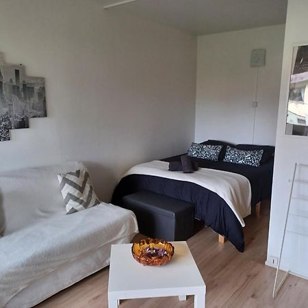 Studio Rdc Calme Avec Parking Ferme Pres Autoroute Et Tram C Мюлуз Екстериор снимка