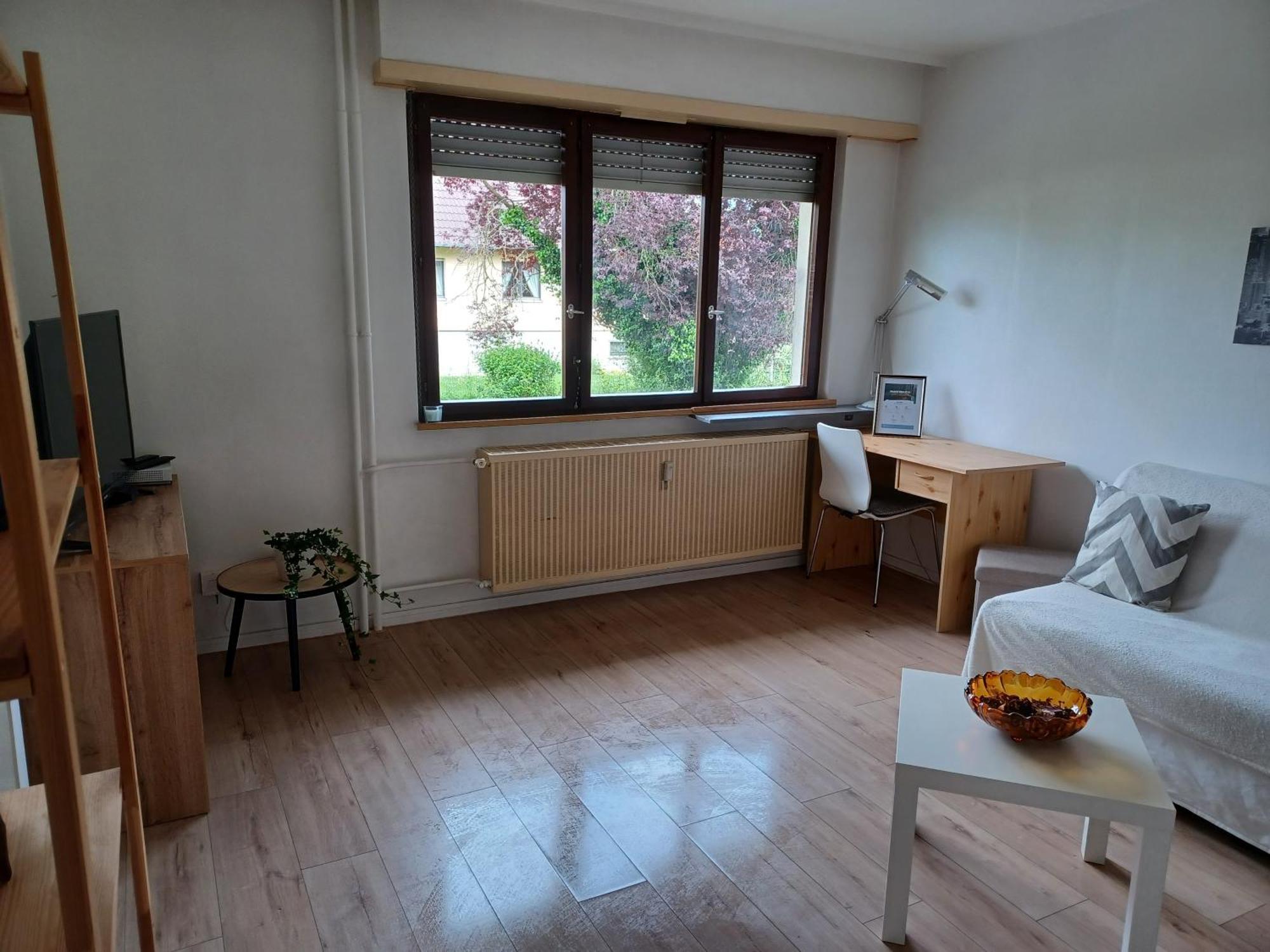 Studio Rdc Calme Avec Parking Ferme Pres Autoroute Et Tram C Мюлуз Екстериор снимка