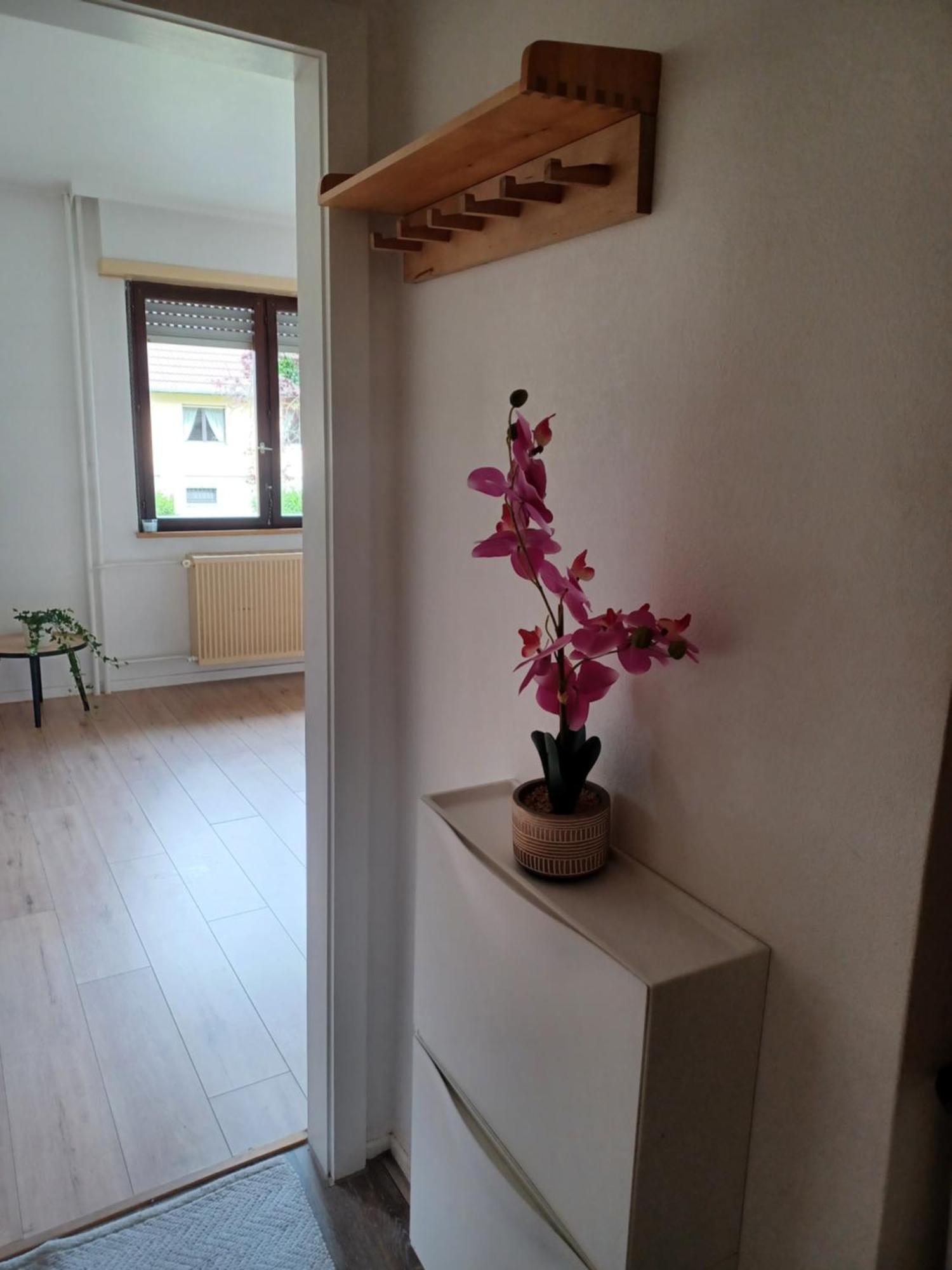Studio Rdc Calme Avec Parking Ferme Pres Autoroute Et Tram C Мюлуз Екстериор снимка