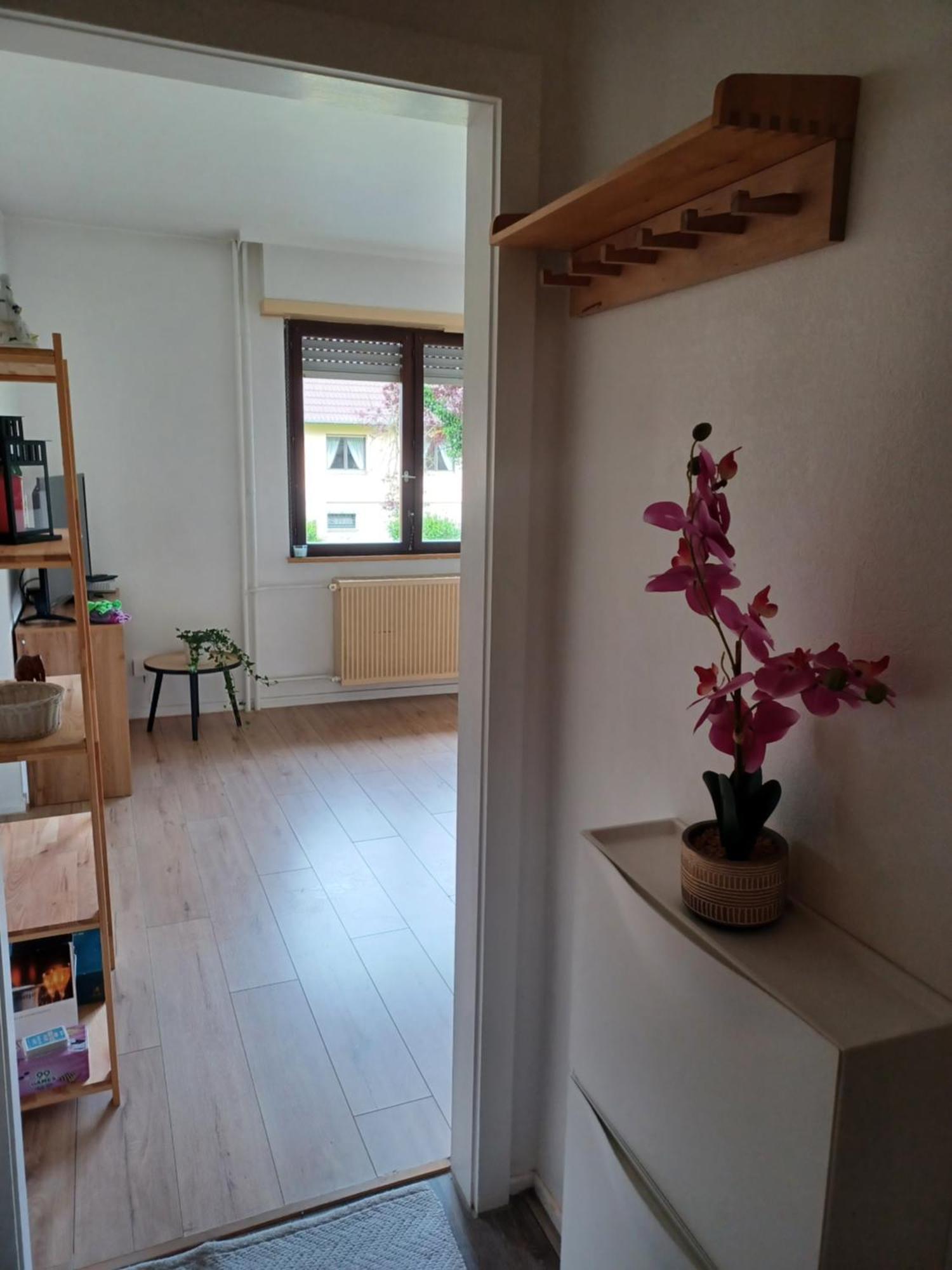 Studio Rdc Calme Avec Parking Ferme Pres Autoroute Et Tram C Мюлуз Екстериор снимка