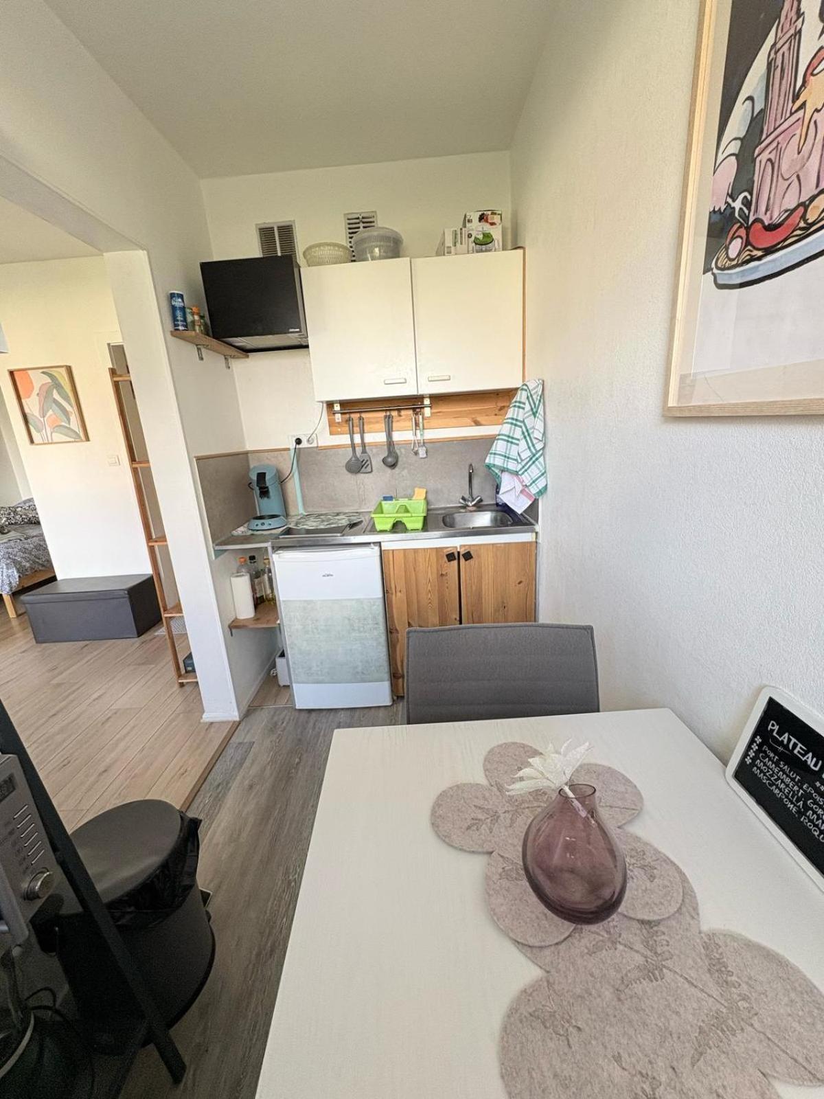 Studio Rdc Calme Avec Parking Ferme Pres Autoroute Et Tram C Мюлуз Екстериор снимка